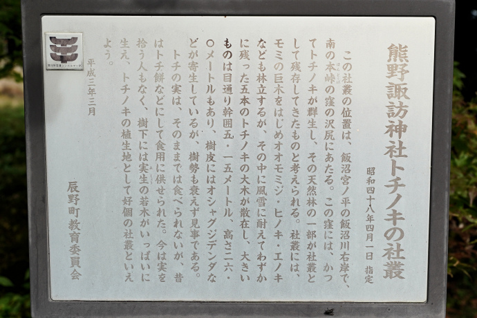 熊野諏訪神社のトチノキの社叢説明板