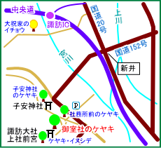 御室社のケヤキ　マップ