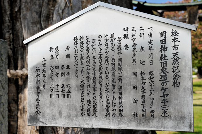岡田神社旧参道のケヤキ説明板