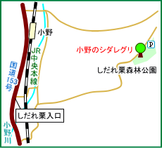 小野のシダレグリ　マップ