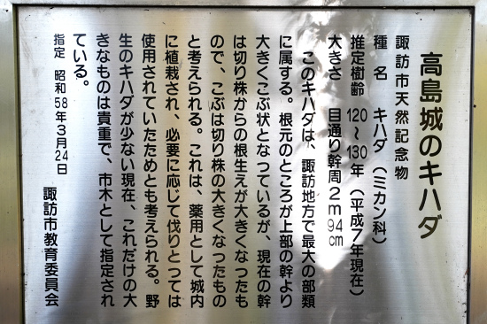 高島城のキハダ説明板
