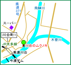 川合のムクノキ　マップ