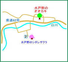 水戸野のオオカキ　マップ