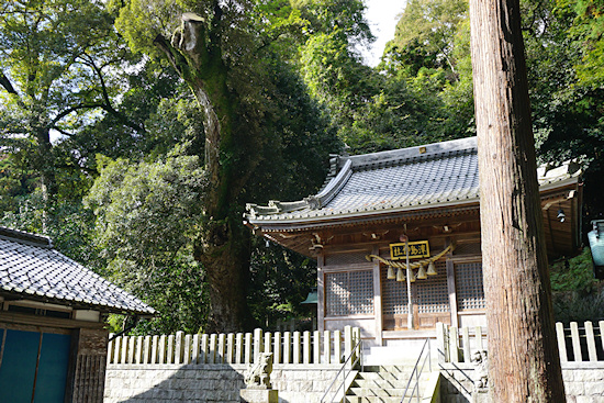 津島神社拝殿