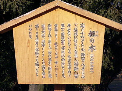 名古屋城のカヤ・説明板