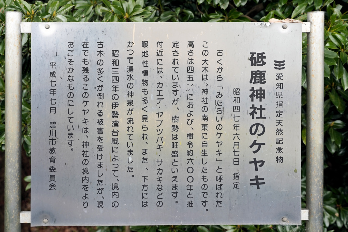 砥鹿神社のケヤキ説明板