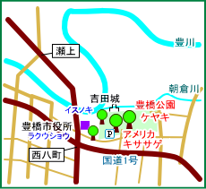 豊橋公園のケヤキ　マップ