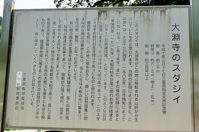 大淵寺のスダジイ説明板