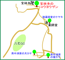 宝林寺マップ