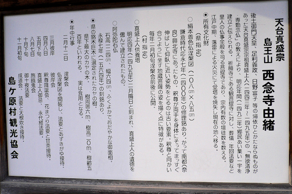 西念寺由緒とカヤノキの説明板
