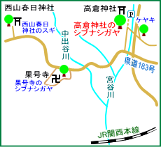 高倉神社のシブナシガヤ　マップ