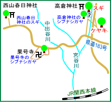 高倉神社のケヤキ・スギ　マップ