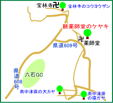 鼓薬師堂のケヤキ　マップ