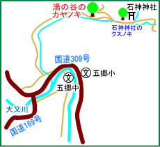 湯の谷のカヤノキ　マップ