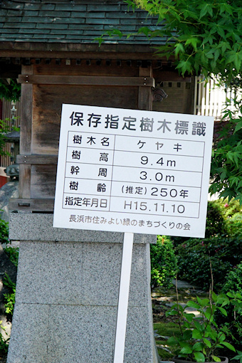 宮司町のケヤキ標識