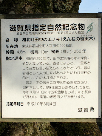 滋賀県自然記念物の説明板