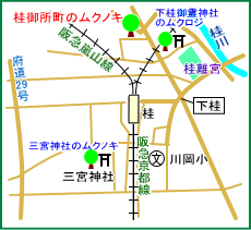 桂御所町のムクノキ　マップ