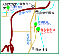 曽我部町寺のケヤキ　マップ