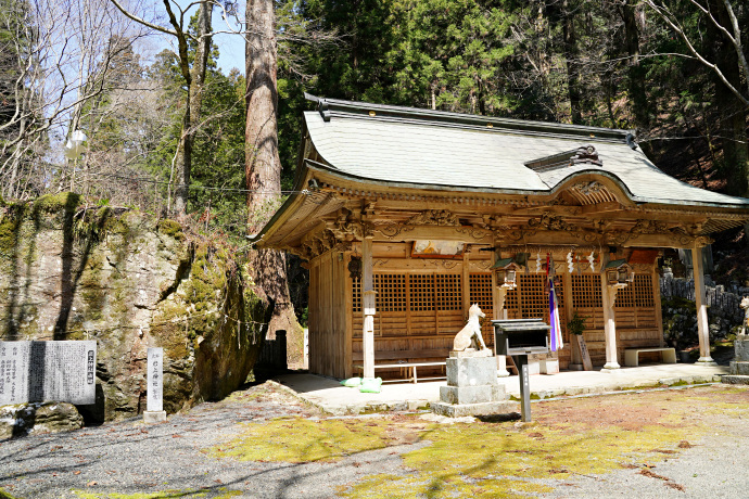 岩上神社拝殿と御神木