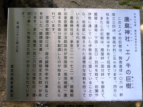 鹿島神社・エノキの巨樹　説明板