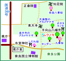 奈良公園のムクノキ　マップ