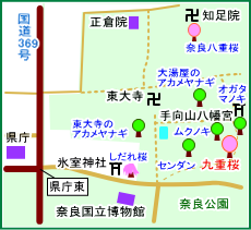 奈良九重桜マップ