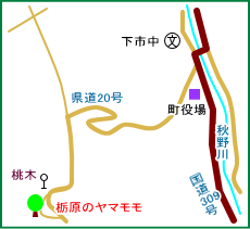 栃原のヤマモモ　マップ