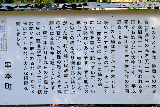 有田神社の大楠説明板