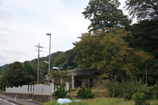 山長神社の森