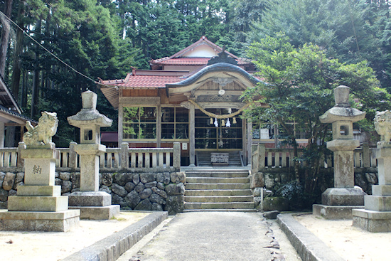 粟倉神社の大ヒノキ