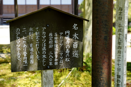円通寺の寿の松説明板