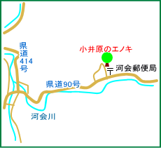小井原のエノキ　マップ