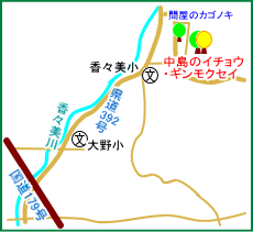 中島のイチョウ・ギンモクセイ　マップ