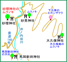 妙理神社のムクノキ　マップ