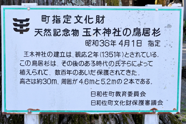 玉木神社の鳥居杉説明板