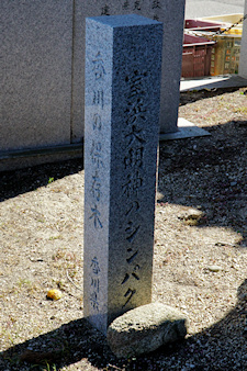 香川の保存木標識