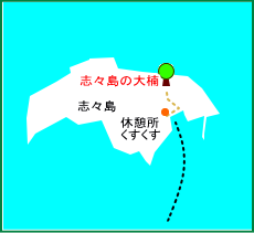 志々島の大楠マップ