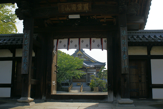 宗林寺山門と本堂