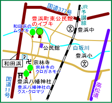 豊浜町東公民館のイブキ　マップ