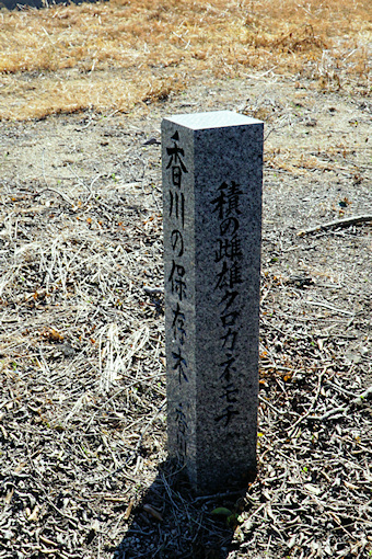 香川の保存木標柱