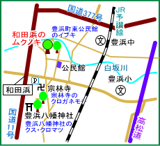 和田浜のムクノキ　マップ