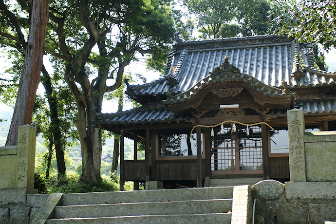 加茂神社のクロガネモチ