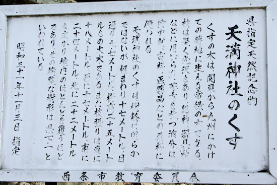 天満神社のクスノキ説明板